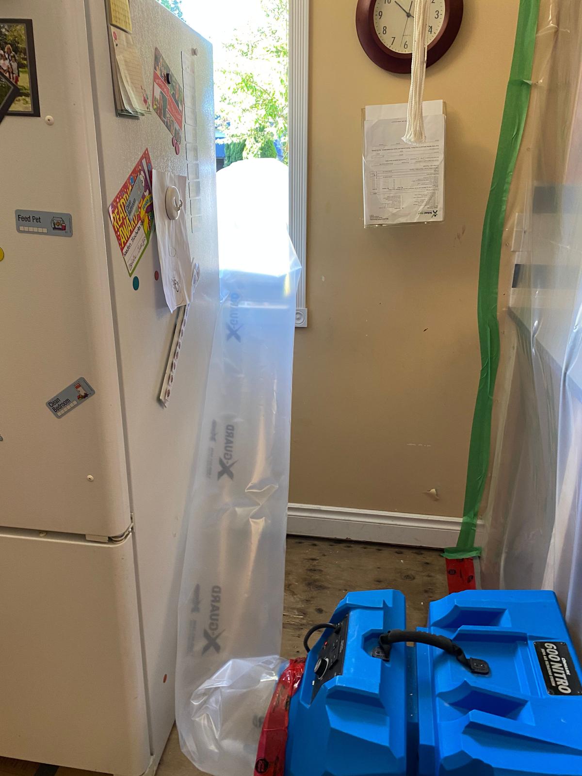 Mold Remediation